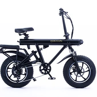 Ameritano Ebike F16H   Dirt bike for kids