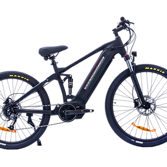 Electric Bikes