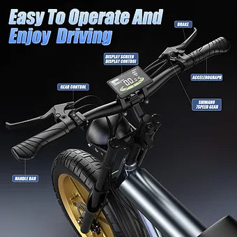 Ameritano Ebike F20