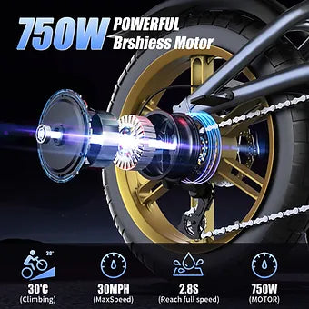 Ameritano Ebike F20