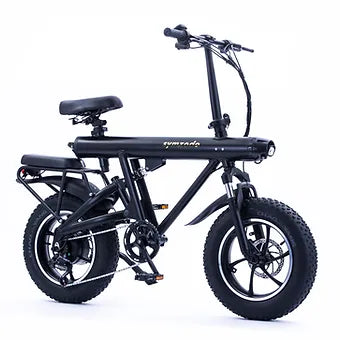 Ameritano Ebike F16H   Dirt bike for kids